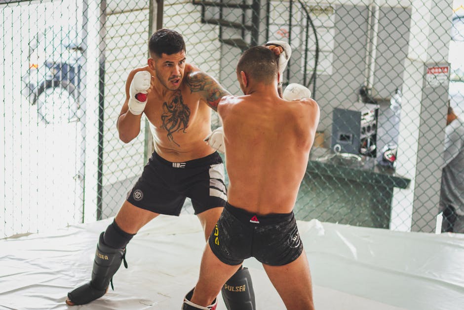 Prime MMA 16: Kon se kwen cje - zapowiedź i analiza (cz. 14)