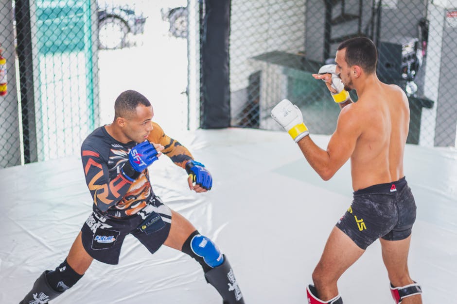Prime MMA 16: Kon se kwen cje - zapowiedź i analiza (cz. 15)