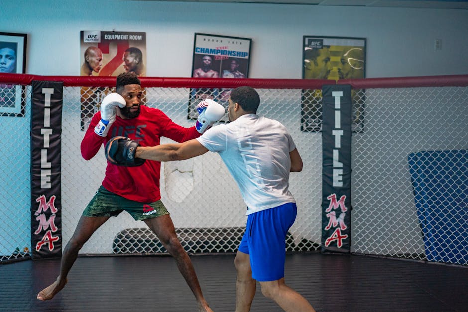 Prime MMA 16: Kon se kwen cje - zapowiedź i analiza (cz. 3)