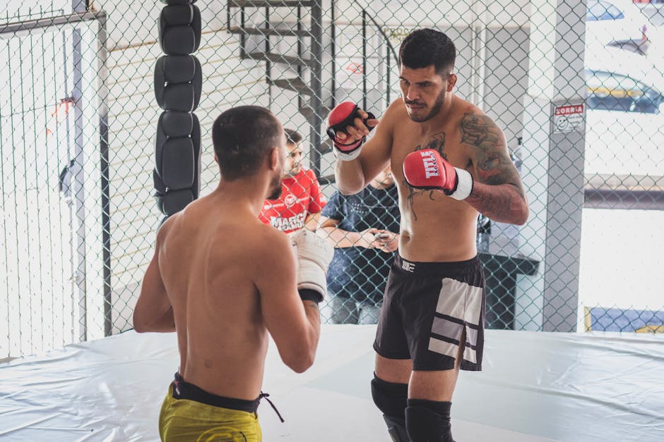 Prime MMA 16: Kon se kwen cje - zapowiedź i analiza (cz. 6)