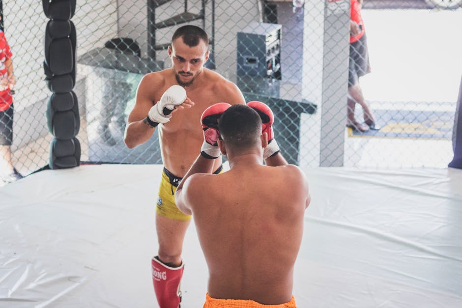 Prime MMA 16: Kon se kwen cje - zapowiedź i analiza (cz. 7)